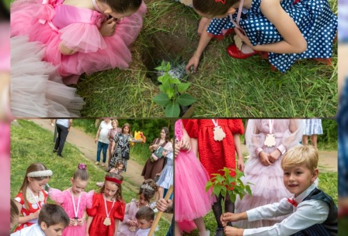 Посадка сирени. Выпуск 2025