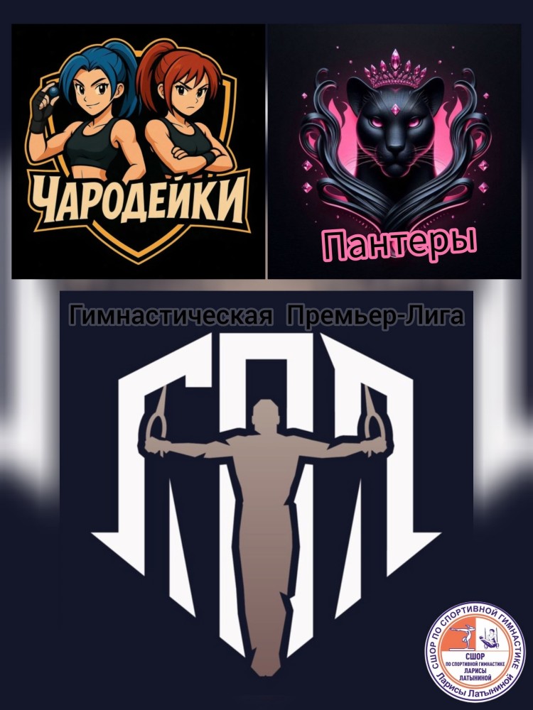 Гимнастическая ПРЕМЬЕР-ЛИГА 2025 Гимнастическая ПРЕМЬЕР-ЛИГА 2025