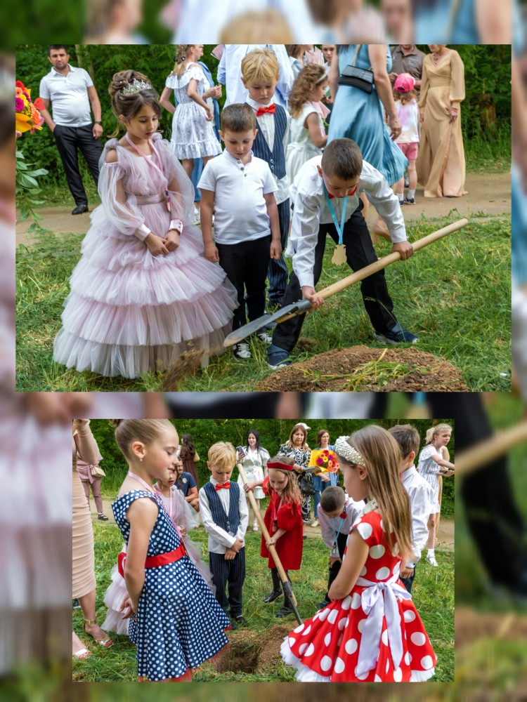 Посадка сирени. Выпуск 2025 Посадка сирени. Выпуск 2025