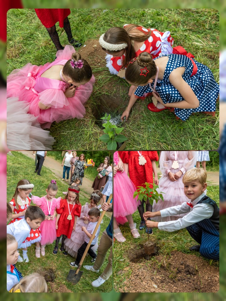 Посадка сирени. Выпуск 2025 Посадка сирени. Выпуск 2025