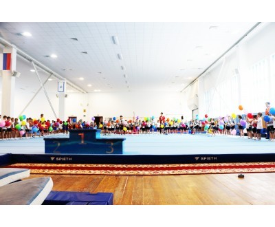 Первенство Калужской области по спортивной гимнастике 2016год №2