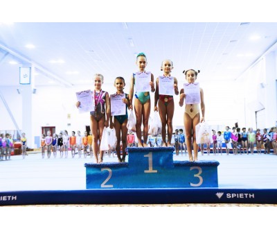 Первенство Калужской области по спортивной гимнастике 2016год №3