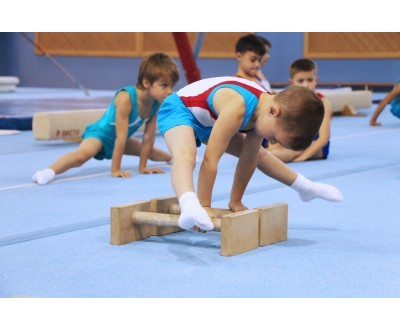 Соревнования по ОФП и СФП 28-29.10.16 №2