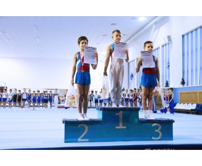 Открытое Первенство Калужской области по спортивной гимнастике, посвященное 2017 году. №3