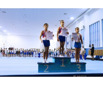 Открытое Первенство Калужской области по спортивной гимнастике, посвященное 2017 году. №2