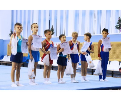 Открытое Первенство Калужской области по спортивной гимнастике, посвященное 2017 году. №1