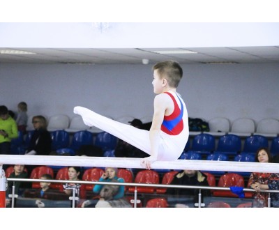 Открытое Первенство Калужской области по спортивной гимнастике, посвященное 2017 году. №7