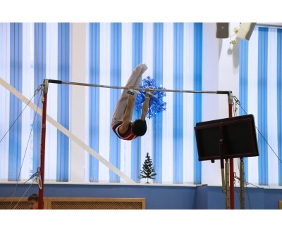 Открытое Первенство Калужской области по спортивной гимнастике, посвященное 2017 году. №5