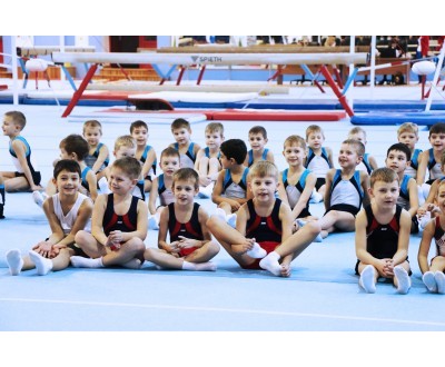 Открытое Первенство Калужской области по спортивной гимнастике, посвященное 2017 году. №3