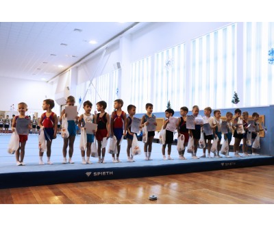 Открытое Первенство Калужской области по спортивной гимнастике, посвященное 2017 году. №6