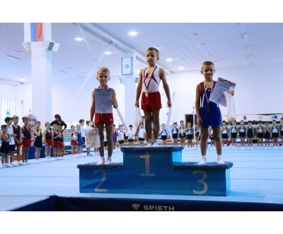 Открытое Первенство Калужской области по спортивной гимнастике, посвященное 2017 году. №5