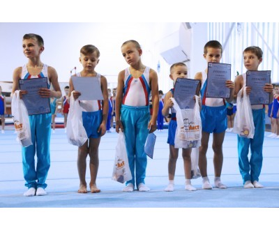 Открытое Первенство Калужской области по спортивной гимнастике, посвященное 2017 году. №1