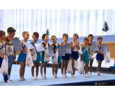 Открытое Первенство Калужской области по спортивной гимнастике, посвященное 2017 году. №2