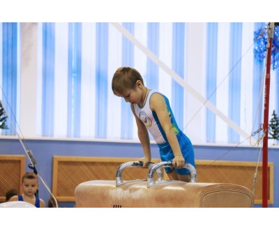 Открытое Первенство Калужской области по спортивной гимнастике, посвященное 2017 году. №3