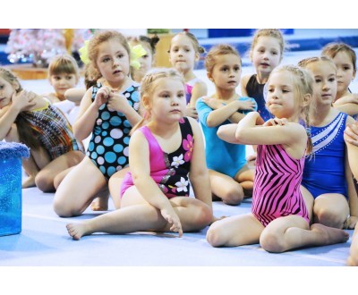 Открытое Первенство Калужской области по спортивной гимнастике, посвященное 2017 году. №5
