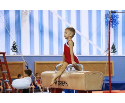 Открытое Первенство Калужской области по спортивной гимнастике, посвященное 2017 году. №2