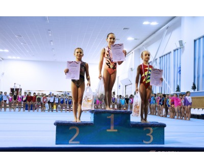 Открытое Первенство Калужской области по спортивной гимнастике, посвященное 2017 году. №6