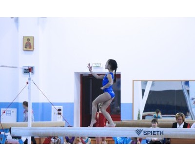 Открытое Первенство Калужской области по спортивной гимнастике, посвященное 2017 году. №3