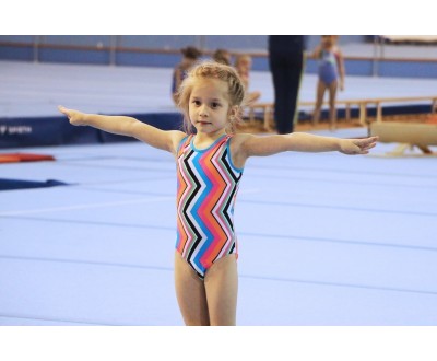 Открытое Первенство Калужской области по спортивной гимнастике, посвященное 2017 году. №4